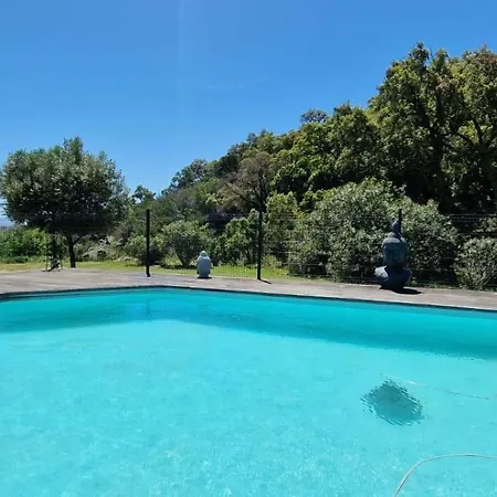 Pramousquier Loft De Charme 2 Piscines Interieure Et Exterieure ヴィラ